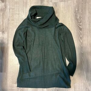 Loft Turtleneck Tunic Sweatet
